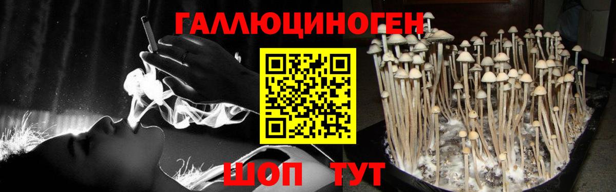 Галлюциногенные грибы Magic Shrooms Железноводск